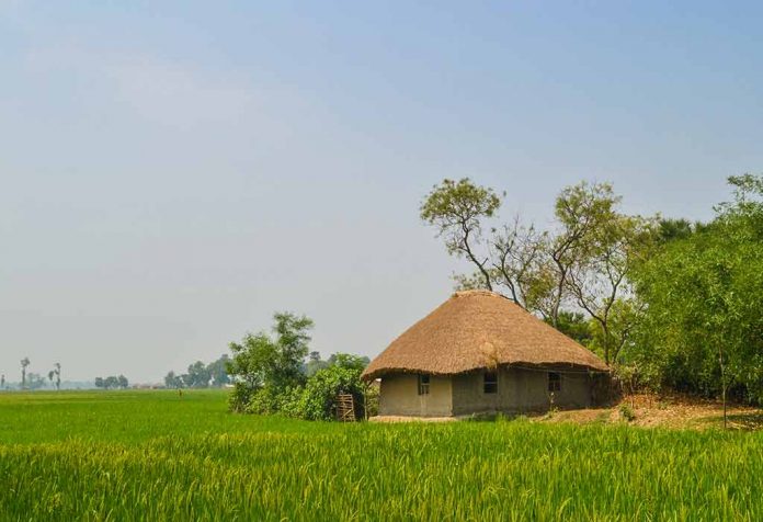 Essay On My Village for Class 1, 2 and 3 Children